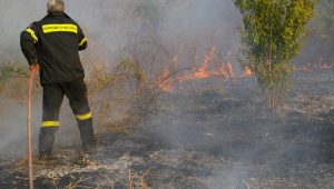 Πολύ υψηλός κίνδυνος πυρκαγιάς για αύριο Παρασκευή 24 Ιουλίου 2020 στην Εύβοια [Χάρτης]