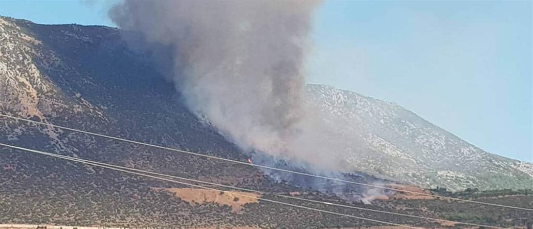 Φωτιά στους Δελφούς