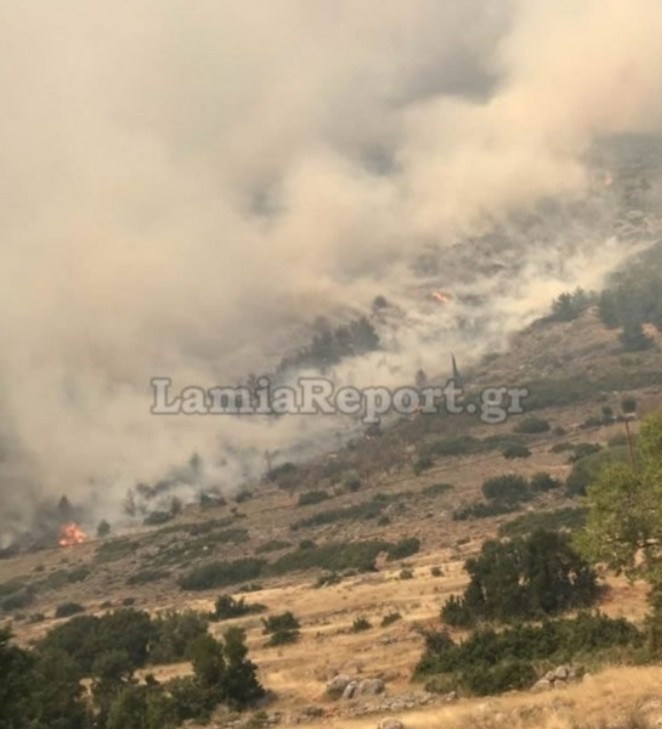 Δελφοί: Εικόνες από τη μεγάλη φωτιά- Απειλείται ο Εθνικός Δρυμός Παρνασσού