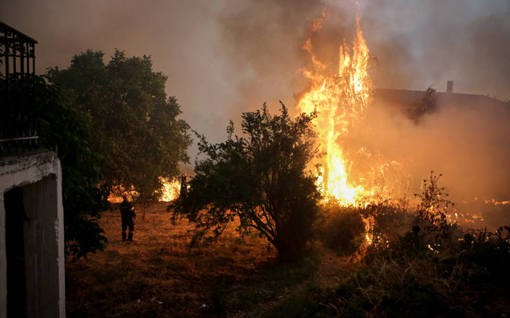 Εμπρησμός κατά 99% η φωτιά στην Εύβοια-Τι δείχνουν τα στοιχεία