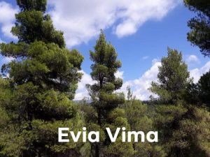 ΕΥΒΟΙΑ: Καταπράσινη η διαδρομή προς τον Άγιο