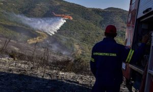 Φωτιά στο Διόνυσο Αττικής