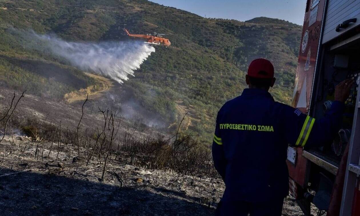 Φωτιά στο Διόνυσο Αττικής