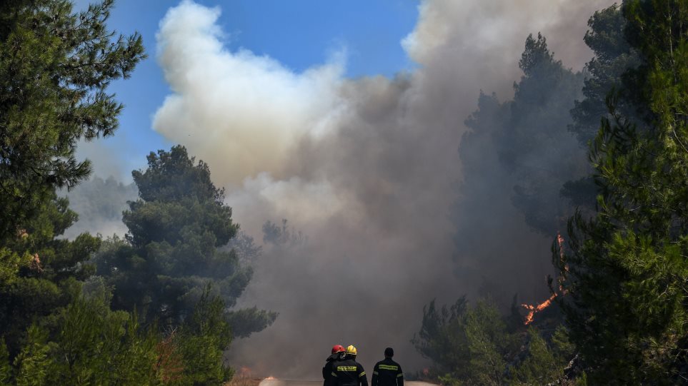 Ζητήθηκε βοήθεια από την Ευρώπη για τη μεγάλη φωτιά στην Εύβοια