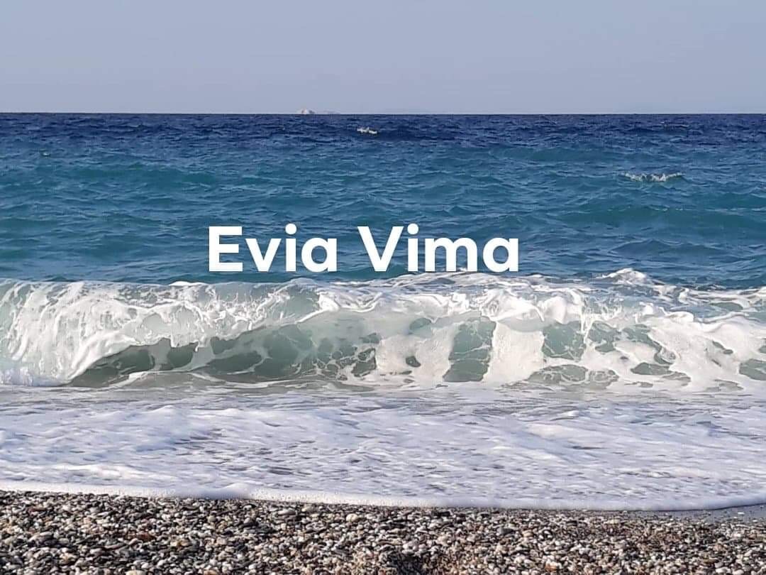 Η παραλία της Μουρτερής στην Εύβοια με λίγα μποφόρ-ΒΙΝΤΕΟ