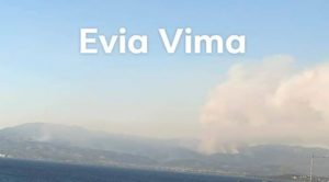 Μάχη στην Εύβοια με τις συνεχείς αναζωπυρώσεις -Στάχτη πάνω από 25.000 στρέμματα [ΦΩΤΟ]