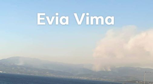Μάχη στην Εύβοια με τις συνεχείς αναζωπυρώσεις -Στάχτη πάνω από 25.000 στρέμματα [ΦΩΤΟ]
