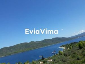 Στους 39 βαθμούς σήμερα το θερμόμετρο-Τα 8 μποφόρ θα φτάσουν οι άνεμοι