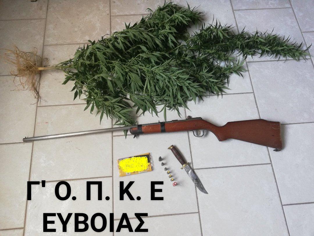 Συνελήφθη ημεδαπός για κλοπή στην Αγία Άννα Εύβοιας