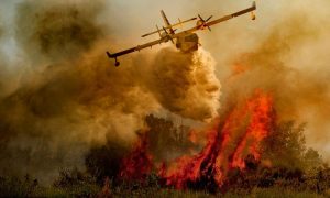 Στουπιά, μπιτόνια και γκαζάκια στο σημείο που ξεκίνησε η φωτιά της Εύβοιας