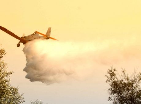 Aνεξέλεγκτα καίει η φωτιά στον Πρόδρομο της Θήβας