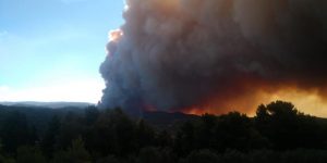 Ανεξέλεγκτη η φωτιά στο δήμο Διρφύων Μεσσαπίων Εύβοιας