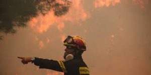 Προσαγωγή υπόπτου για την φωτιά στην Ιστιαία της Εύβοιας