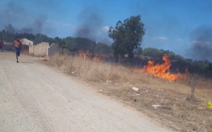 Φωτιά στην Κέρκυρα: Δίπλα στα σπίτια οι φλόγες [ΒΙΝΤΕΟ&ΦΩΤΟ]