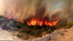 Πυρκαγιά στην Ερέτρια Πυρκαγιά στην Ερέτρια