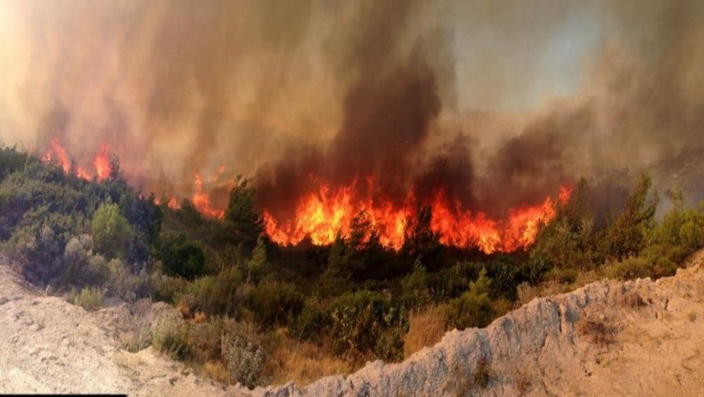 Πυρκαγιά στην Ερέτρια