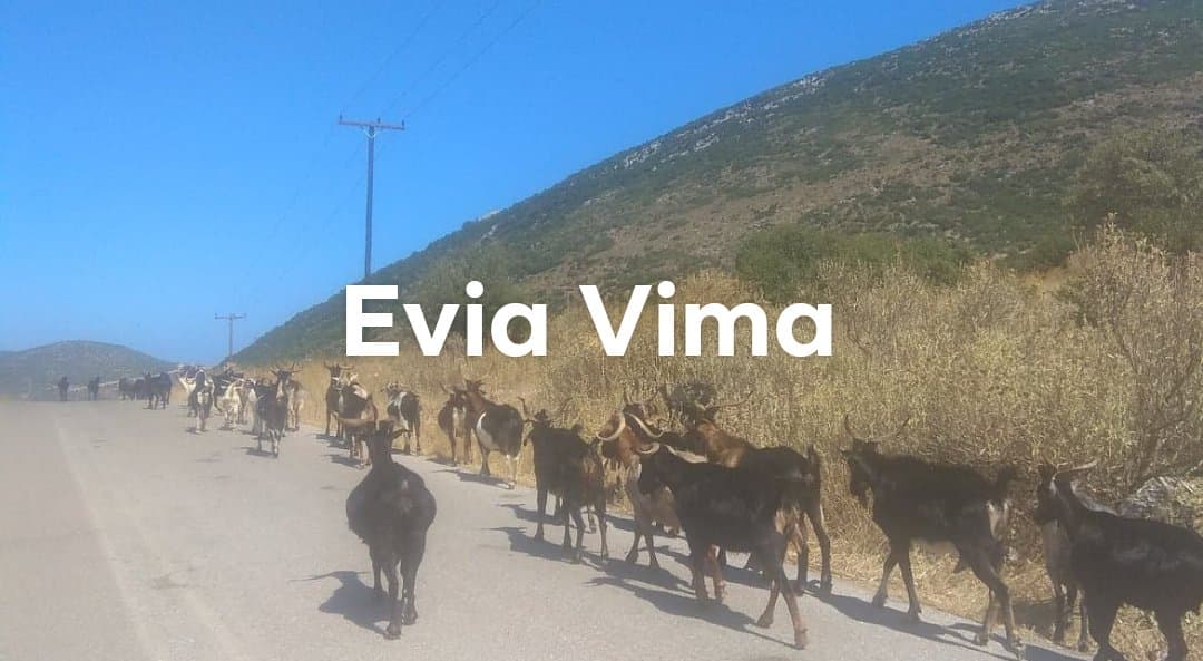 Νότια Εύβοια-Η ζωή του τσοπάνη στο χωριό-ΦΩΤΟ&ΒΙΝΤΕΟ