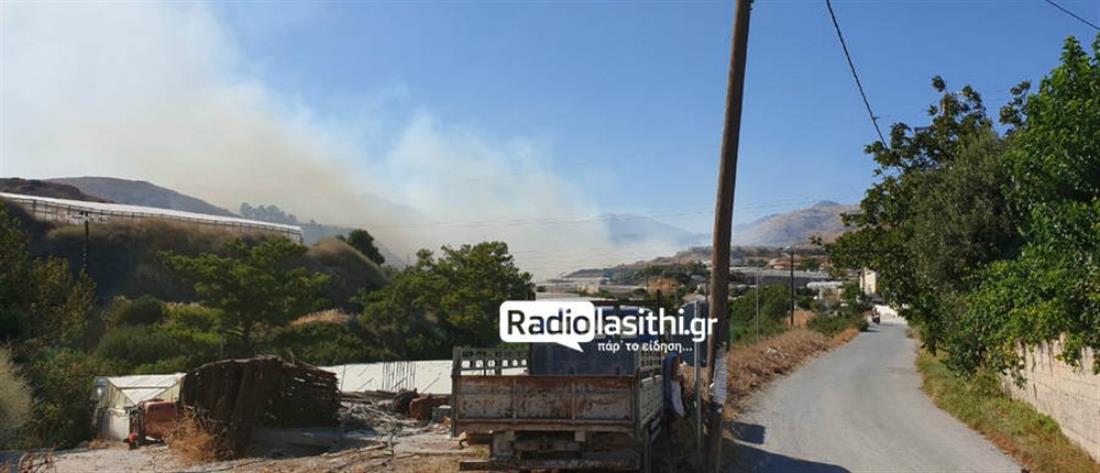 Πυρκαγιά ξέσπασε στην Ιεράπετρα σε περιοχή που βρίσκονται θερμοκήπια