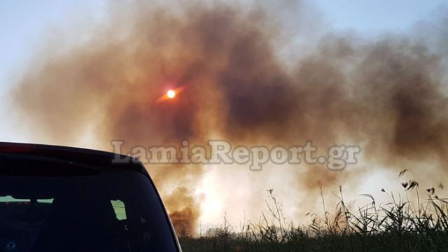 Πυρκαγιά σε τέσσερα μέτωπα μεταξύ Αμφίκλειας και Τιθορέας