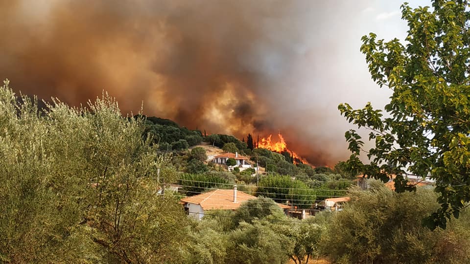 Φωτιά στη Φωκίδα-Εκκενώνεται ο οικισμός Μαγούλα-ΦΩΤΟ