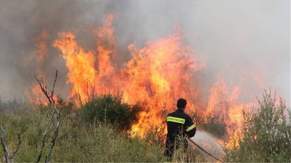 ΕΚΤΑΚΤΟ-Φωτιά στον Κάμπο Καρύστου