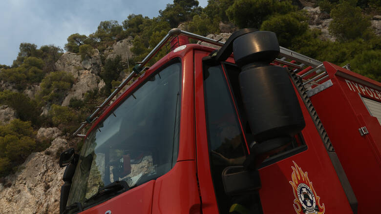 Φωτιά στο Κρυονέρι