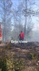 Αποκλειστικές ΦΩΤΟ και ΒΙΝΤΕΟ από την φωτιά στην Φαράκλα Ευβοίας Αποκλειστικές ΦΩΤΟ και ΒΙΝΤΕΟ από την φωτιά στην Φαράκλα Ευβοίας