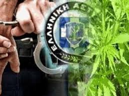Συνελήφθησαν τρεις ημεδαποί στη Χαλκίδα για κατοχή ναρκωτικών