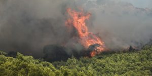 Φωτιά στη Φαρακλα του Δήμου Μαντουδίου-Λίμνης-Αγίας Φωτιά στη Φαρακλα του Δήμου Μαντουδίου-Λίμνης-Αγίας