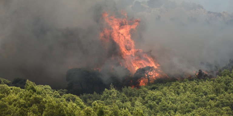 Φωτιά στη Φαρακλα του Δήμου Μαντουδίου-Λίμνης-Αγίας