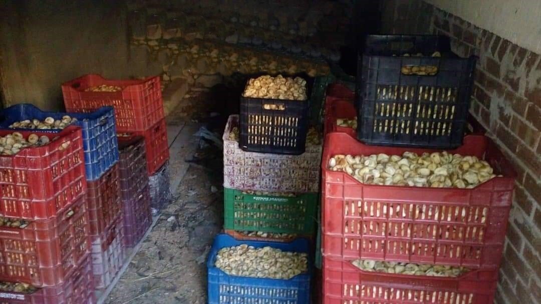 Εξιχνιάσθηκαν 6 κλοπές αγροτικών προϊόντων στην Ιστιαία Εύβοιας