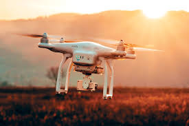 Εκπαιδευμένο γεράκι κατέρριψε drone πάνω από το σπίτι της Γιάννας Αγγελοπούλου