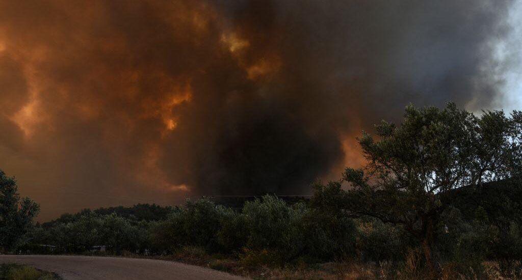 Φωτιά σε δασική έκταση στο Αγιονόρι Κορινθίας