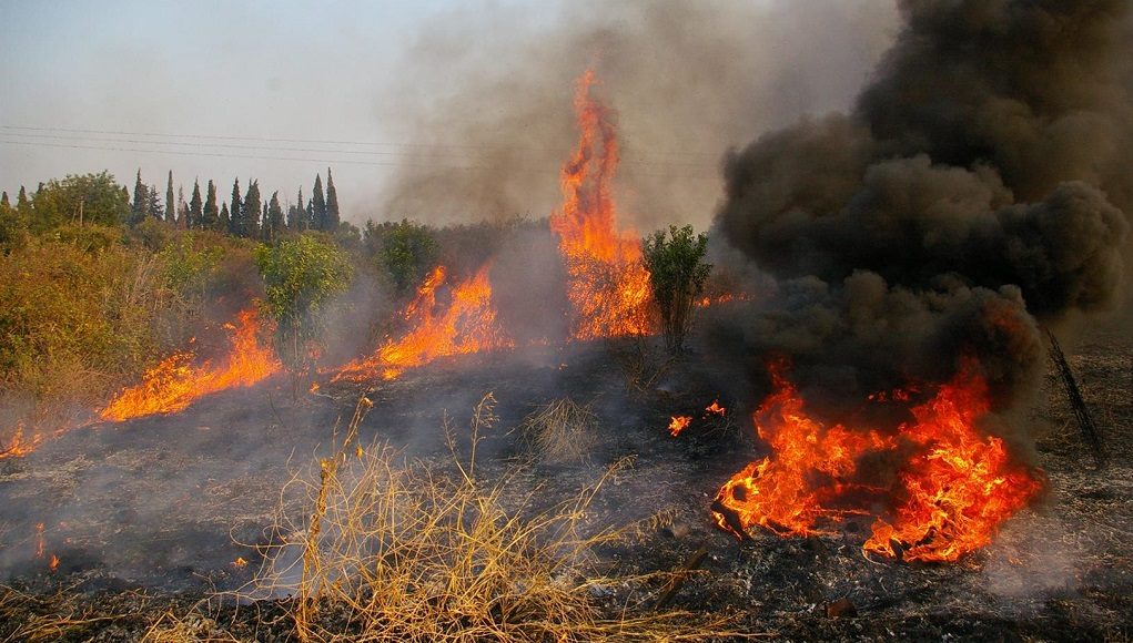 Στα «κόκκινα» και σήμερα η Εύβοια: Πολύ υψηλός κίνδυνος πυρκαγιάς