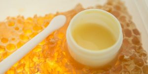 Σε τι χρησιμεύει στις μέλισσες ο βασιλικός πολτός;