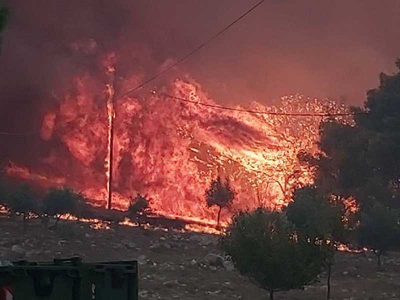 Εκτός ελέγχου η φωτιά στη Ζάκυνθο -Εκκενώθηκαν δύο χωριά [ΦΩΤΟ&BINTEO]