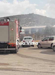 Οι πρώτες εικόνες από τη φωτιά στο Δοκό Χαλκίδας