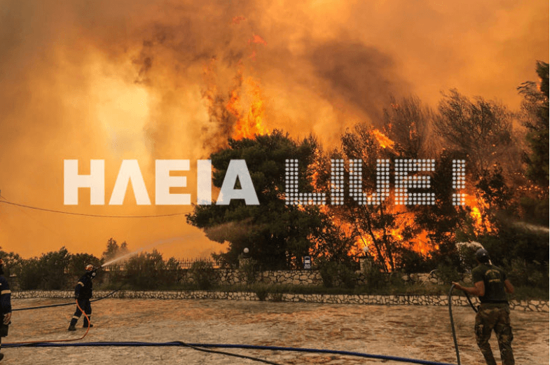 Πυρκαγιά και πάλι στο ίδιο σημείο στην Ηλεία
