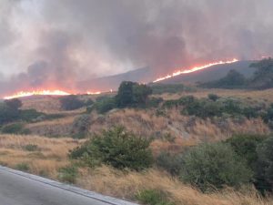 Έκτακτο: Φωτιά στο Κατσαρώνι του Δήμου Καρύστου Έκτακτο: Φωτιά στο Κατσαρώνι του Δήμου Καρύστου