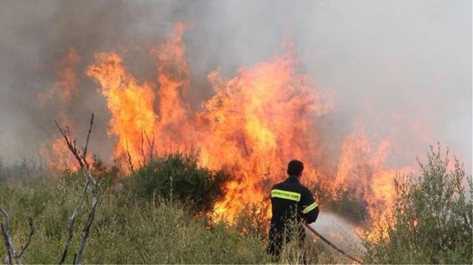 Εύβοια: Φωτιά κοντά σε σπίτια στο χωριό Κριεζά -Έκρηξη φιάλης σε τροχόσπιτο