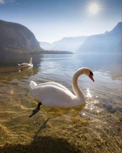 Quiz: Σε ποια παραλία της Εύβοιας θα αντικρίσεις αυτό το ζευγάρι ;