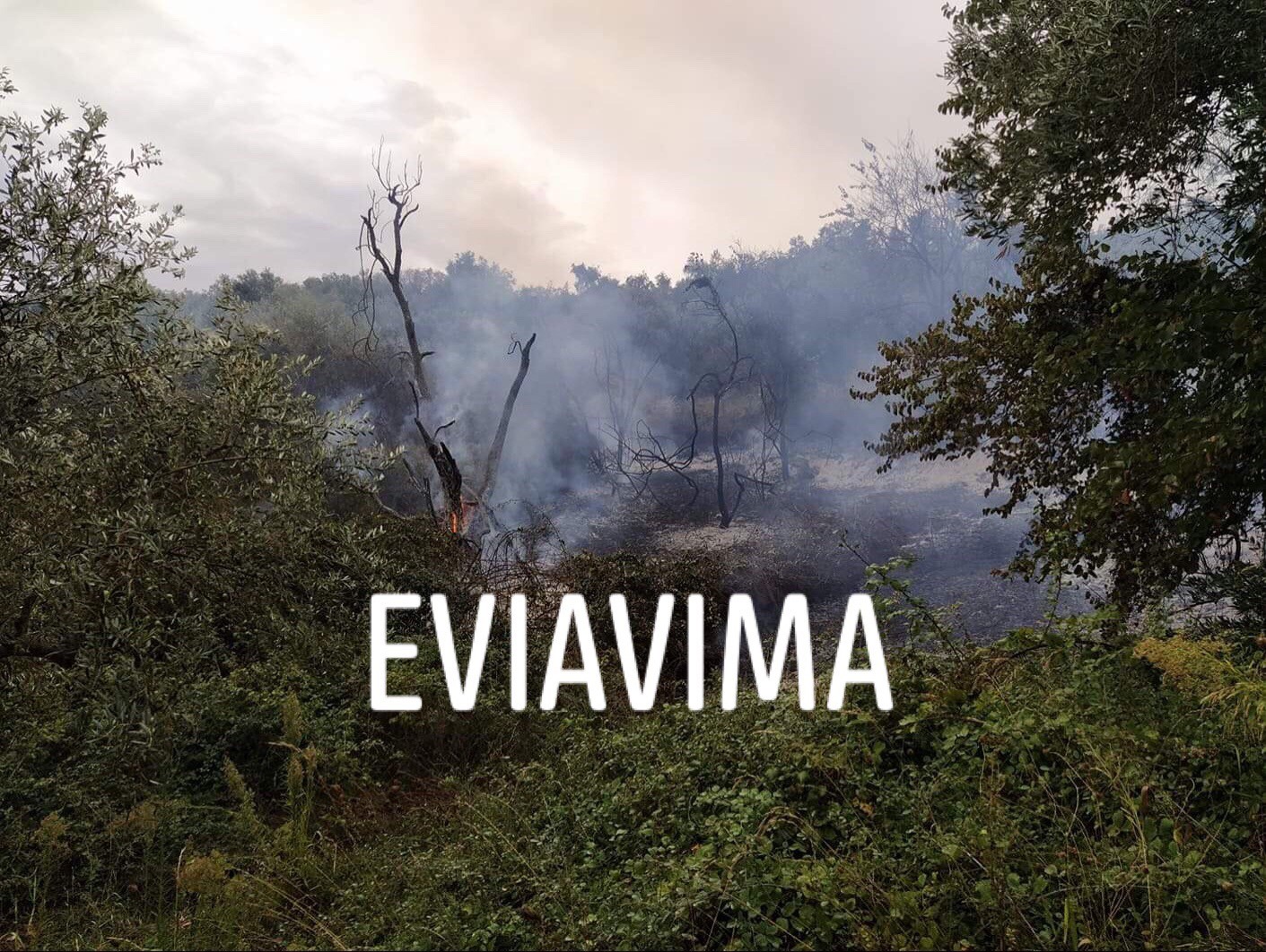 Οι πρώτες εικόνες από την φωτιά στην Αγία Άννα