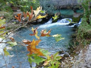 Πηγή Κολέθρα-Ένας κρυμμένος θησαυρός κοντά στην Κύμη (ΦΩΤΟ)