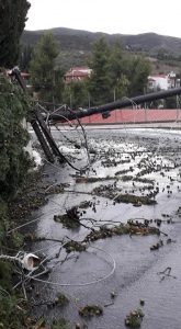 Έφερε τα πάνω κάτω η κακοκαιρία και στην Ιστιαία (Φωτο)