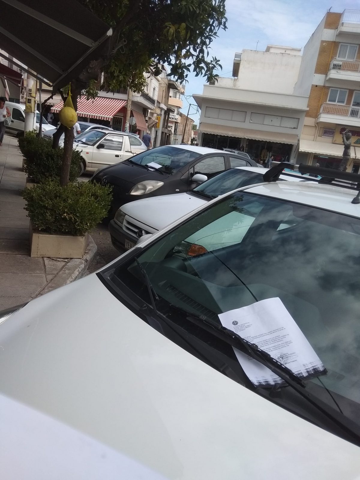 Η πρωτοβουλία του προέδρου της Κοινότητας Αλιβερίου που κέρδισε τις εντυπώσεις