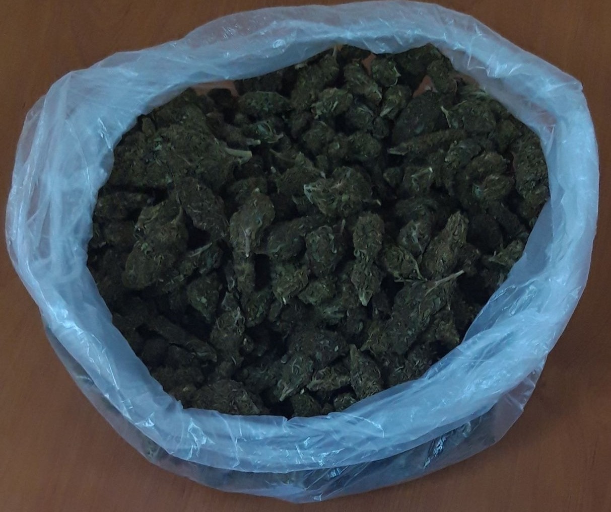 Τον συνέλαβαν στα Διόδια Θηβών για μεταφορά ναρκωτικών
