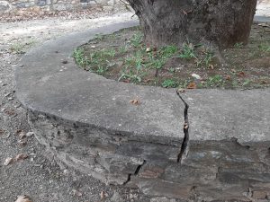 Περίεργο φαινόμενο αναφέρουν στο eviavima κάτοικοι του Νεοχωρίου-ΦΩΤΟ