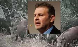 Τροχαίο ατύχημα με αγριογούρουνο είχε ο Απόστολος Γκλέτσος