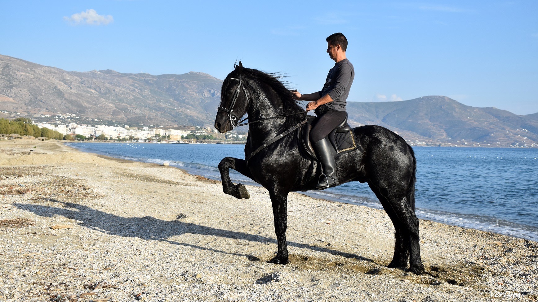Σε αυτή την παραλία της Εύβοιας θα συναντήσεις αυτό το άλογο!