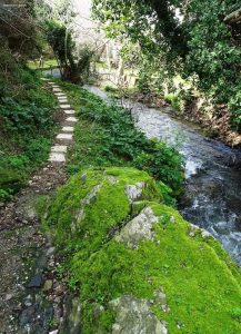 Απίστευτο! Δείτε τι υπάρχει στο χωριό Λάλα στην Κάρυστο! Απίστευτο! Δείτε τι υπάρχει στο χωριό Λάλα στην Κάρυστο!